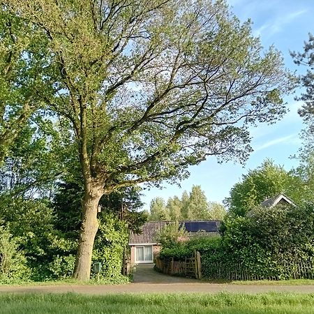Ruim Huisje Op Een Prachtige Plek Hemrik Buitenkant foto