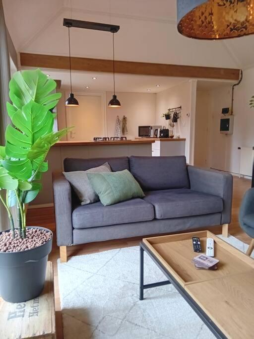 Ruim Huisje Op Een Prachtige Plek Hemrik Buitenkant foto