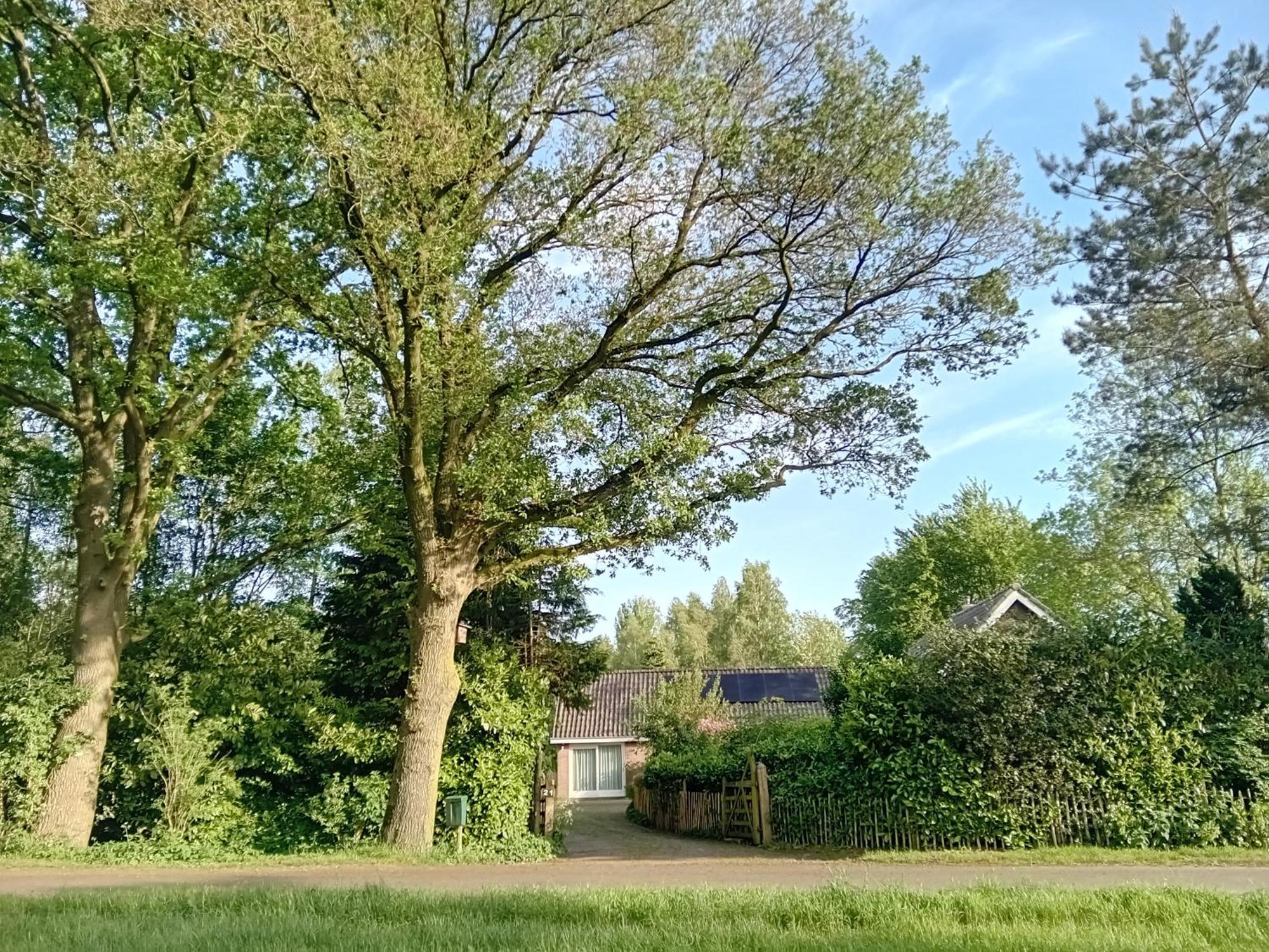 Ruim Huisje Op Een Prachtige Plek Hemrik Buitenkant foto