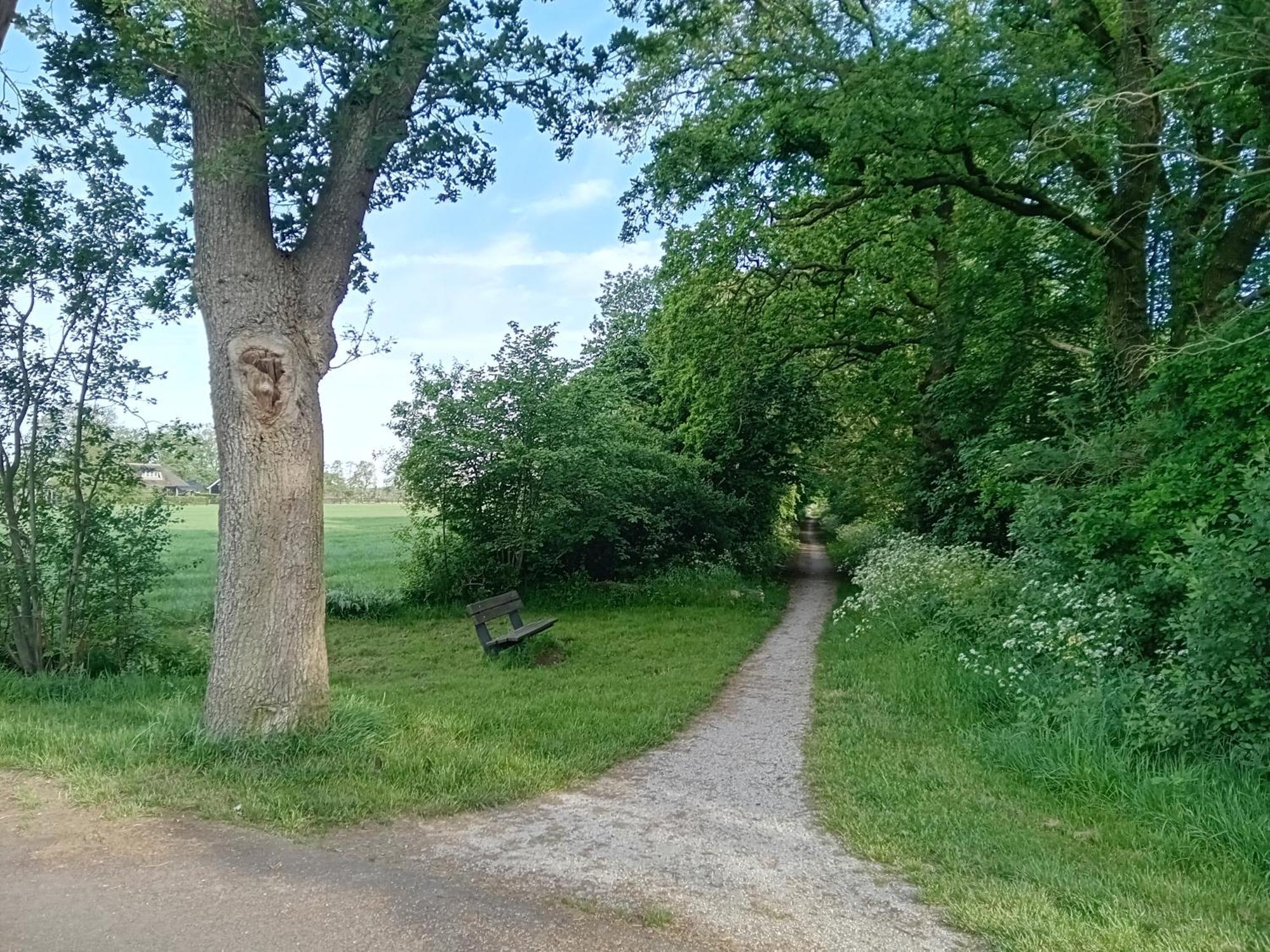 Ruim Huisje Op Een Prachtige Plek Hemrik Buitenkant foto