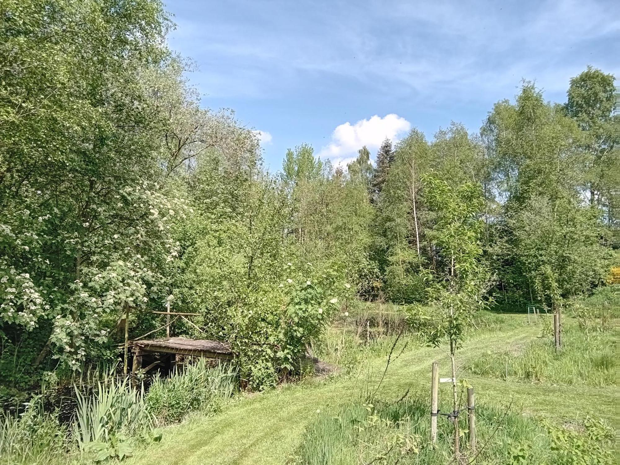 Ruim Huisje Op Een Prachtige Plek Hemrik Buitenkant foto