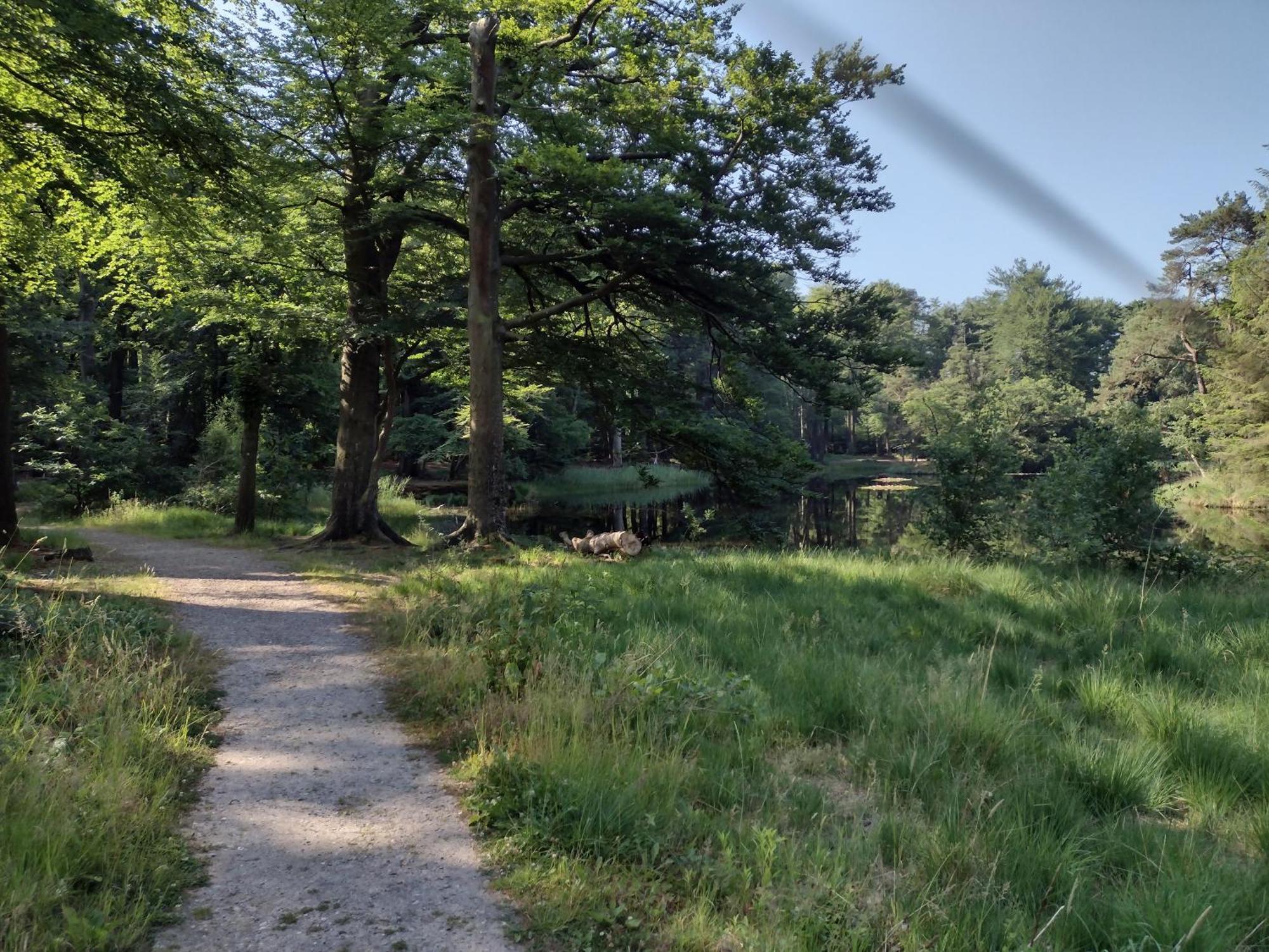 Ruim Huisje Op Een Prachtige Plek Hemrik Buitenkant foto