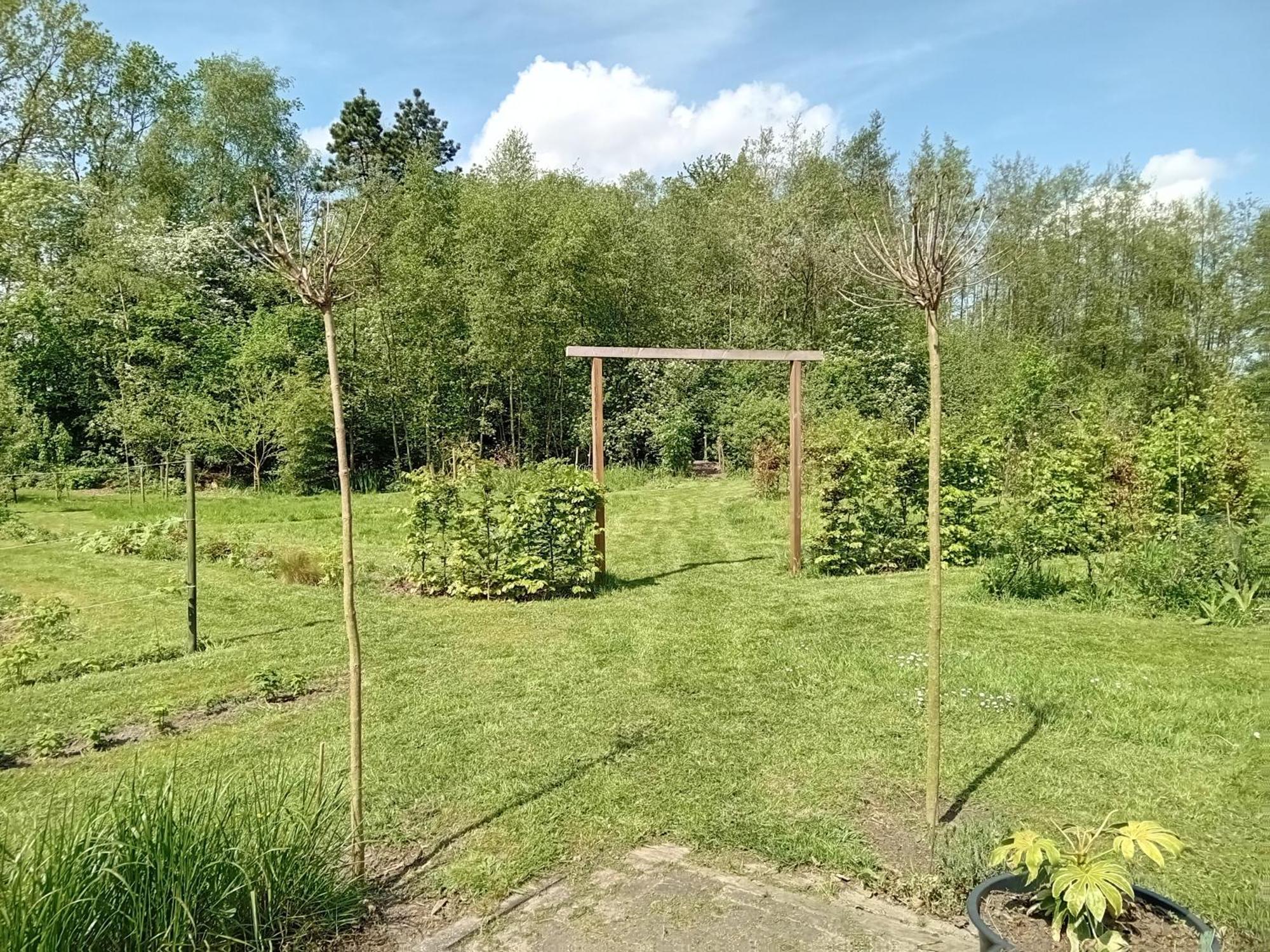 Ruim Huisje Op Een Prachtige Plek Hemrik Buitenkant foto